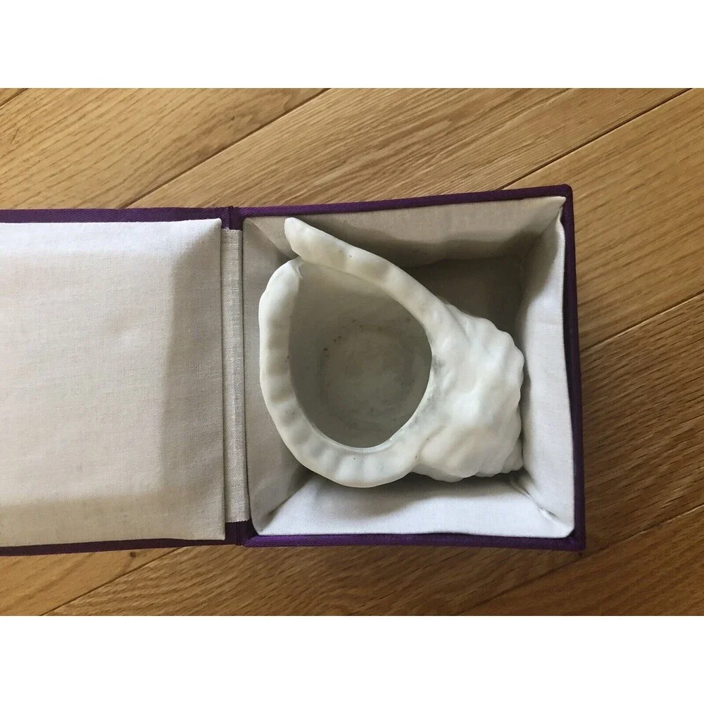 Ceramic Conch Sea Shell‎ Planter with Decorative Gift Box